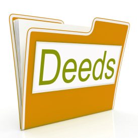 article image - 